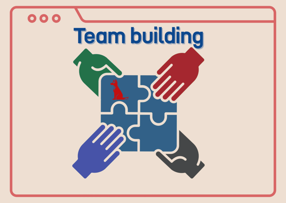 Team-building – budowanie zespołu i zaufania